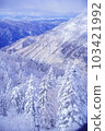 Sunny snowy mountains and frost-covered trees 103421992