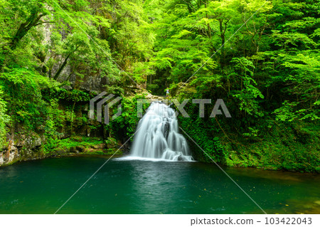 [Mie Prefecture] Akame 48 Waterfall Sente Waterfall 103422043
