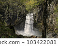 Seedling Waterfall in Niigata Prefecture 103422081