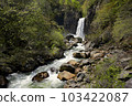 Seedling Waterfall in Niigata Prefecture 103422087