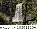 Seedling Waterfall in Niigata Prefecture 103422100
