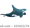 Swimming killer whale-thick coating 103422174