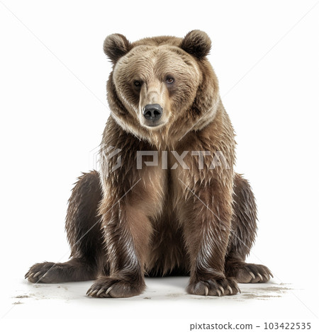 Tanuki White background AI-generated image Generative AI 103422535