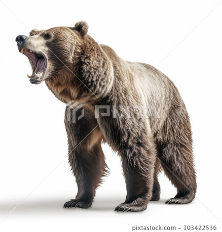 Tanuki White background AI-generated image Generative AI 103422536