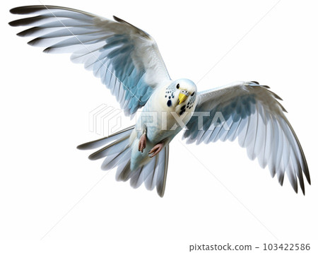 Tanuki 白色背景 AI 生成圖像 Generative AI 103422586