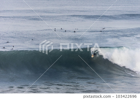 Surfers at Bells Beach in Australia 103422696