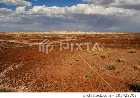 Rugged Landscape Petrified Forest Arizona 103422702