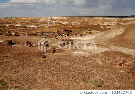 Rugged Landscape Petrified Forest Arizona Rugged Landscape Petrified Forest Arizona 103422706