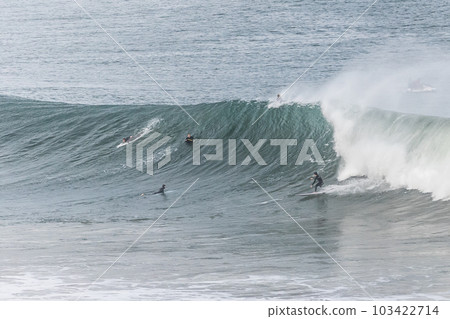 Surfers at Bells Beach in Australia 103422714