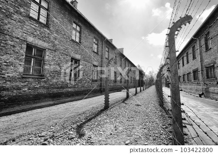 concentration camp in auschwitz oswiecim in poland concentration camp in auschwitz oswiecim in poland 103422800