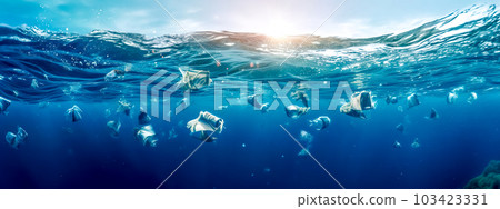 plastic waste in the blue sea water. the concept of pollution of the planet and the environment. global ecological disaster, banner, made with Generative AI plastic waste in the blue sea water. the concept of pollution of the planet and the environment. global ecological disaster, banner, made with Generative AI 103423331
