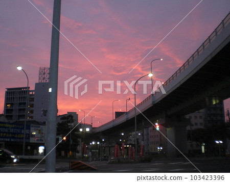 在市中心的黎明從高速公路下仰望 在市中心的黎明從高速公路下仰望 103423396