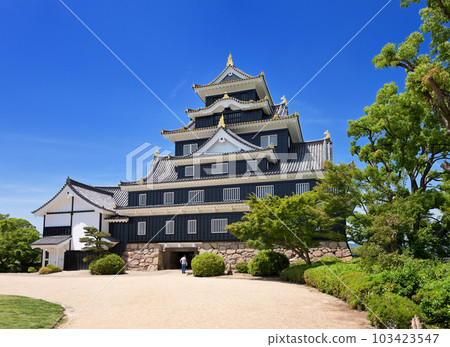 岡山城樓(岡山縣岡山市) 岡山城樓(岡山縣岡山市) 103423547