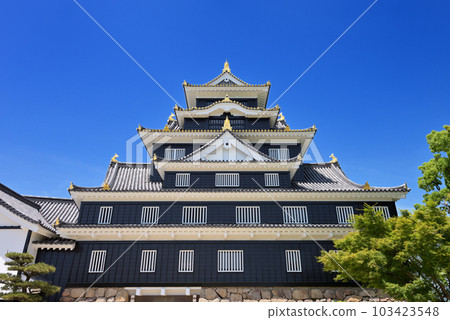 岡山城樓(岡山縣岡山市) 岡山城樓(岡山縣岡山市) 103423548