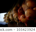 onion  103423924