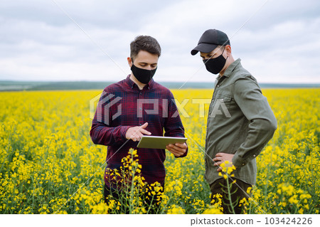 Farmers with tablet in the field. Farmers in medical masks discuss agricultural issues on the field. 103424226
