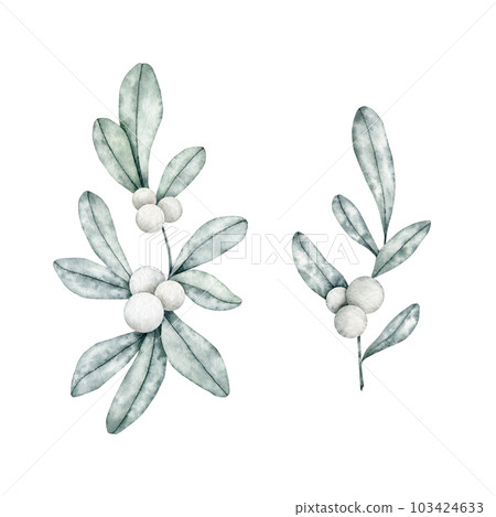Set of Symphoricarpos, commonly known as the snowberry, waxberry, or ghostberry. Deciduous shrub with white berries. Hand drawn watercolor illustration for greeting card, wedding invitation Set of Symphoricarpos, commonly known as the snowberry, waxberry, or ghostberry. Deciduous shrub with white berries. Hand drawn watercolor illustration for greeting card, wedding invitation 103424633