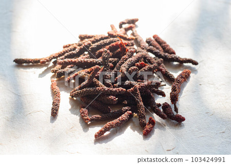 Dried hihatsumodoki Dried hihatsumodoki 103424991
