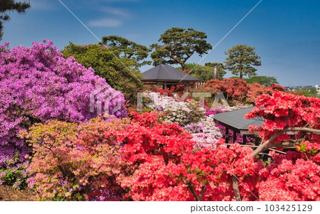 令人驚嘆的山脊景觀 103425129