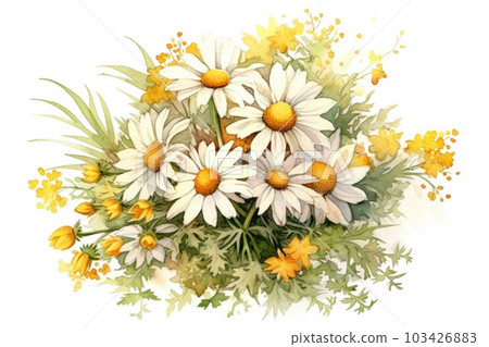 Daisy Bouquet watercolor painting. 103426883