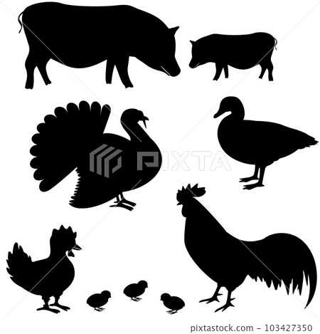 Farm animals vector silhouettes Farm animals vector silhouettes 103427350
