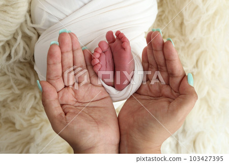 Feet of the newborn on the palms of the parents. The palms of the father and mother are holding the foot of the newborn baby in a white flokati blanket. Photography of a child's toes, heels and feet. 103427395