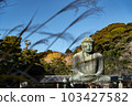 The Great Buddha of Kamakura 103427582