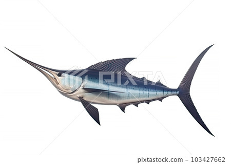 Marlin Swordfish marine animal isolated on white background, fish beak sharp as a sword, popular for fishing, aquatic sea diversity, with Generative AI. Marlin Swordfish marine animal isolated on white background, fish beak sharp as a sword, popular for fishing, aquatic sea diversity, with Generative AI. 103427662