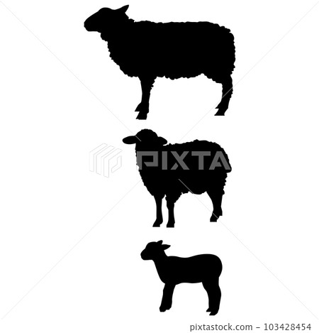 Sheep cielette illustration material set vector 103428454