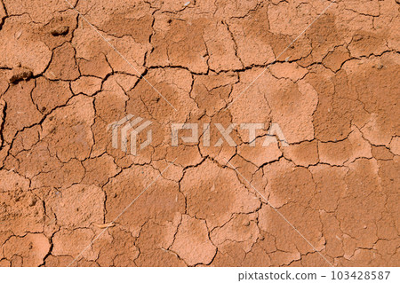 There is large crack in ground texture after long period of drought. 103428587