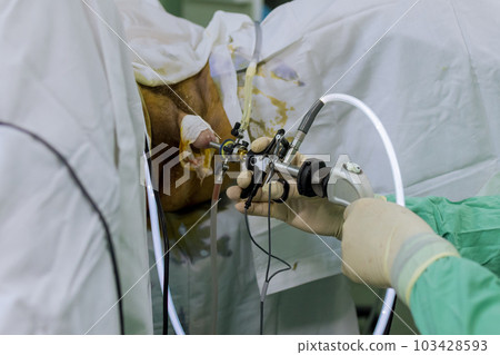 Transuretral resection of prostate is type endoscopic surgery in using special tool for resectoscope which is introduced along clearance of urethra Transuretral resection of prostate is type endoscopic surgery in using special tool for resectoscope which is introduced along clearance of urethra 103428593