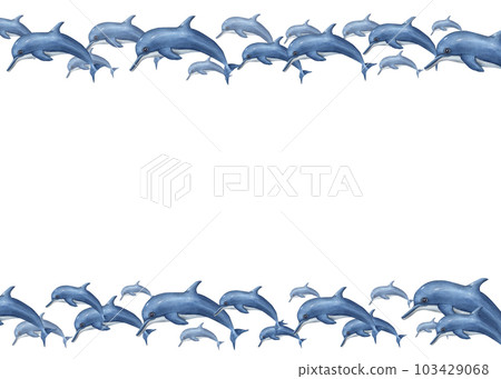 Watercolor horizontal frame with swimming dolphins isolated on white background. Illustration marine style with for postcard design, different invitation template 103429068