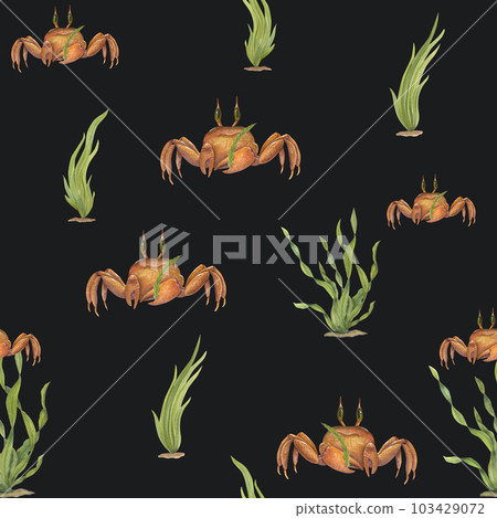 Watercolor underwater seamless pattern of brown cartoon crabs, green seaweeds isolated on black background. Hand painted illustration for design, background, menus, wallpaper, fabric, wrapping. Watercolor underwater seamless pattern of brown cartoon crabs, green seaweeds isolated on black background. Hand painted illustration for design, background, menus, wallpaper, fabric, wrapping. 103429072