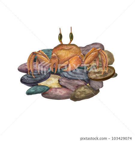 Watercolor illustration of crab on colorful marine pebbles isolated on white background. For baby textile, wallpaper, nursery decoration, cards, background, souvenirs, wrapping. Cartoon style. Watercolor illustration of crab on colorful marine pebbles isolated on white background. For baby textile, wallpaper, nursery decoration, cards, background, souvenirs, wrapping. Cartoon style. 103429074