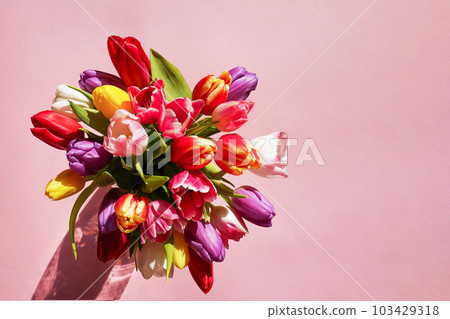 Colorful tulips bouquet on a pink background. Greeting card. Top view with copy space. Mothers day womans day concept. Colorful tulips bouquet on a pink background. Greeting card. Top view with copy space. Mothers day womans day concept. 103429318