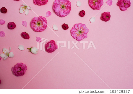 Flat lay, creative layout of blossoms, buds and petals of cherry and plum on a pink background. Prunus Triloba Louiseania. Mother's Day concept. Copy space 103429327