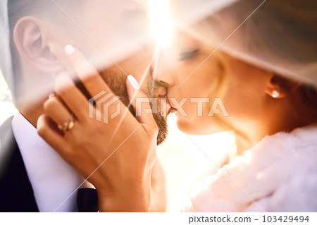 Bride, groom kisses tenderly in the shadow of a flying veil. Sexy kissing stylish couple of lovers. 103429494