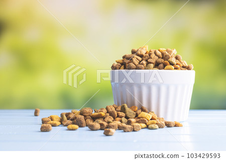 Dry kibble pet food in bowl. Dog or cat food on garden table. 103429593