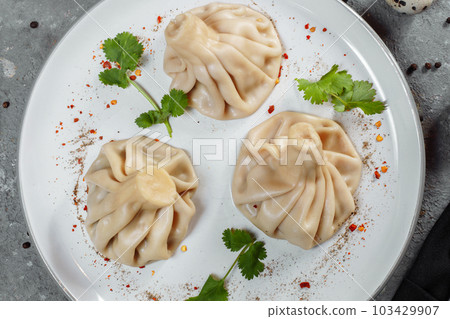 Georgian dumplings Khinkali with meat, greens and tomato spicy sauce Satsebeli on white plate Georgian dumplings Khinkali with meat, greens and tomato spicy sauce Satsebeli on white plate 103429907