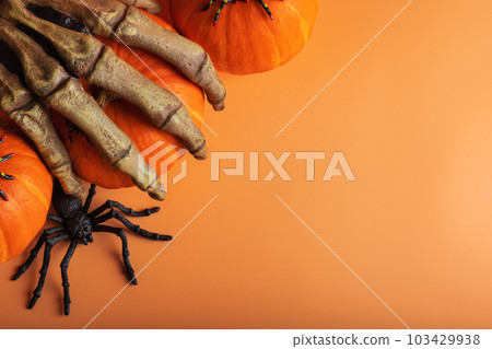 Halloween composition with pumpkins, monster hand, spiders on orange background Halloween composition with pumpkins, monster hand, spiders on orange background 103429938