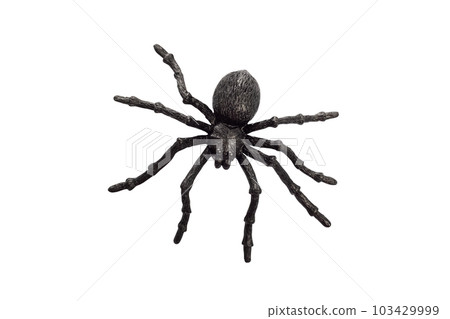 Black rubber spider toy isolated on a white background. Black spider toy 103429999
