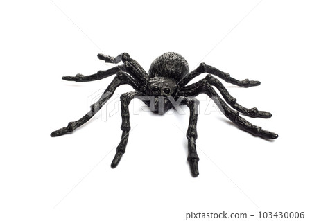 Black rubber spider toy isolated on a white background. Black spider toy 103430006