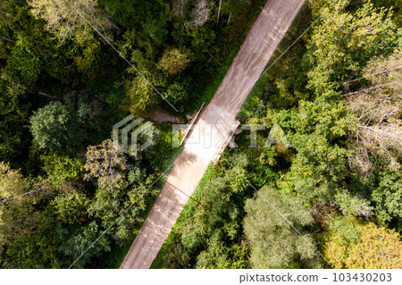 Road with a bridge over a small forest stream 103430203
