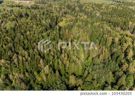 Aerial view of mixed green forest in flight Aerial view of mixed green forest in flight 103430205