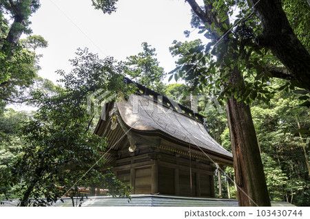 Former Main Hall of Okumiya Kashima Shrine, worshiped as the god of martial arts Former Main Hall of Okumiya Kashima Shrine, worshiped as the god of martial arts 103430744