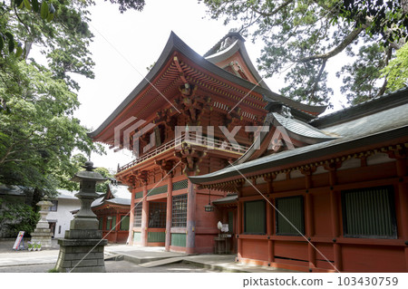 Sakuramon gate of Kashima Shrine, an important national cultural property [Kashima City, Ibaraki Prefecture] 103430759