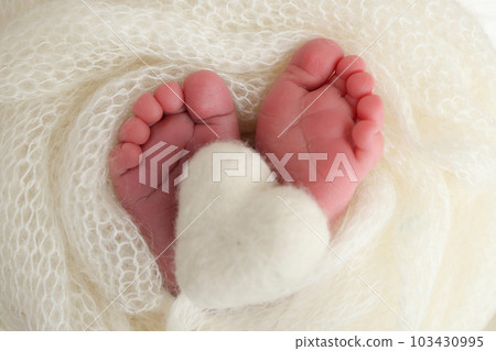 The tiny foot of a newborn baby. Soft feet of a new born in a white wool blanket. Close up of toes, heels and feet of a newborn. Knitted white heart in the legs of a baby. Macro photography The tiny foot of a newborn baby. Soft feet of a new born in a white wool blanket. Close up of toes, heels and feet of a newborn. Knitted white heart in the legs of a baby. Macro photography 103430995