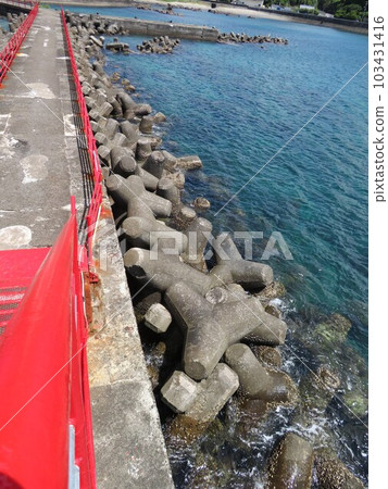 Tetrapot, Kushimoto Marine Park, Wakayama Prefecture 103431416
