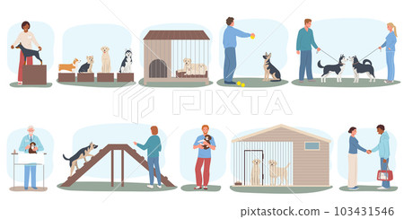 Dog Breeder Compositions Collection 103431546