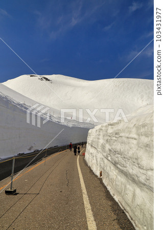立山黑部雪大谷步行區風景（2022/04/19） 103431977